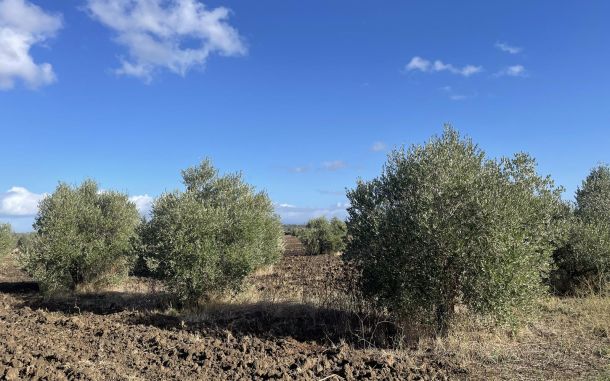 Il PetruccioliO - Agriturismo Noi Musici